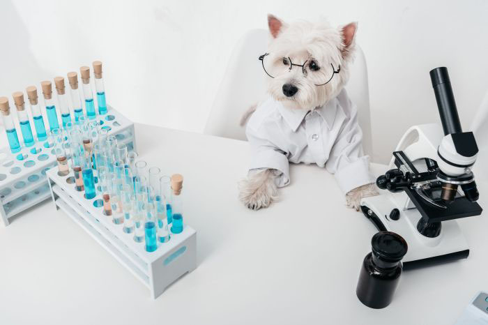 X-Ray and Laboratory image